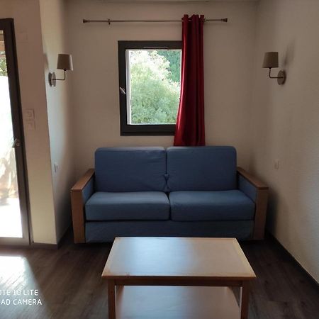 Appartement Les Palmiers Nicea Zewnętrze zdjęcie
